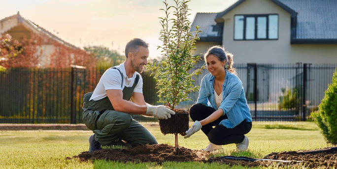 SGM-Team pflanzt einheimische Pflanzen in einem Landschaftsprojekt, um die lokale Biodiversität zu fördern und die Umwelt zu unterstützen.
