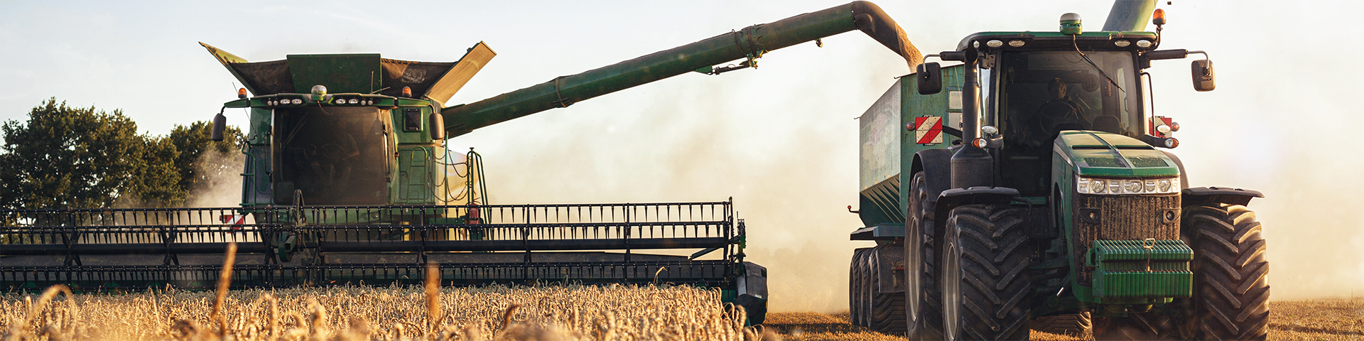 Professionelle Energieberatung zur Optimierung der Energieversorgung in der Landwirtschaft.