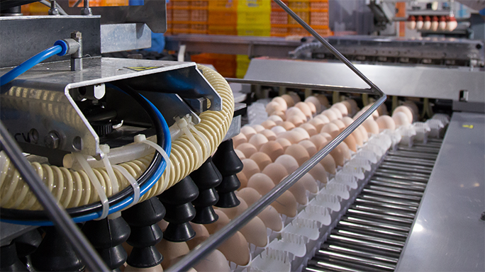 Exklusive Rahmenverträge für Agrarbetriebe mit hohem Energieverbrauch.