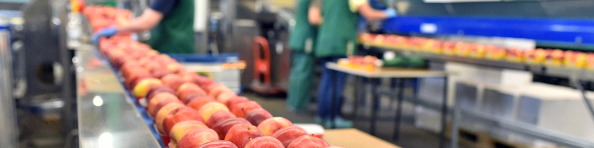 Energieoptimierung für Nahrungs- und Futtermittelindustrie zur Kostenreduktion.