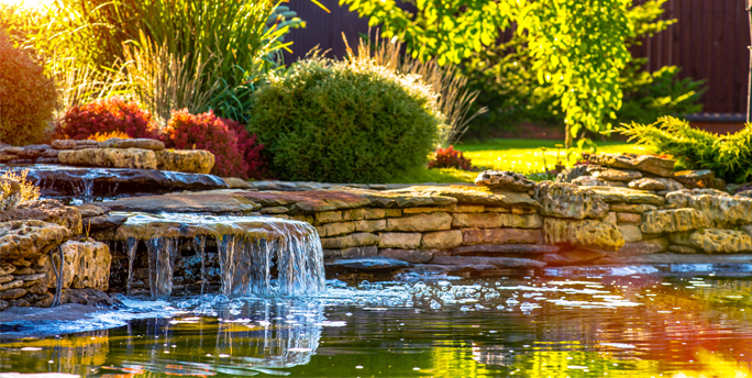 Ein wunderschöner Wassergarten von SGM, der mit Pflanzen und Tieren ein harmonisches Ökosystem bildet.
