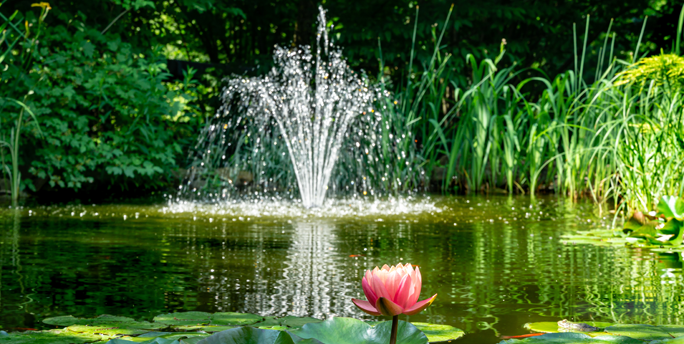 Eindrucksvoller Springbrunnen im Wassergarten von SGM, der eine ruhige und einladende Atmosphäre schafft.