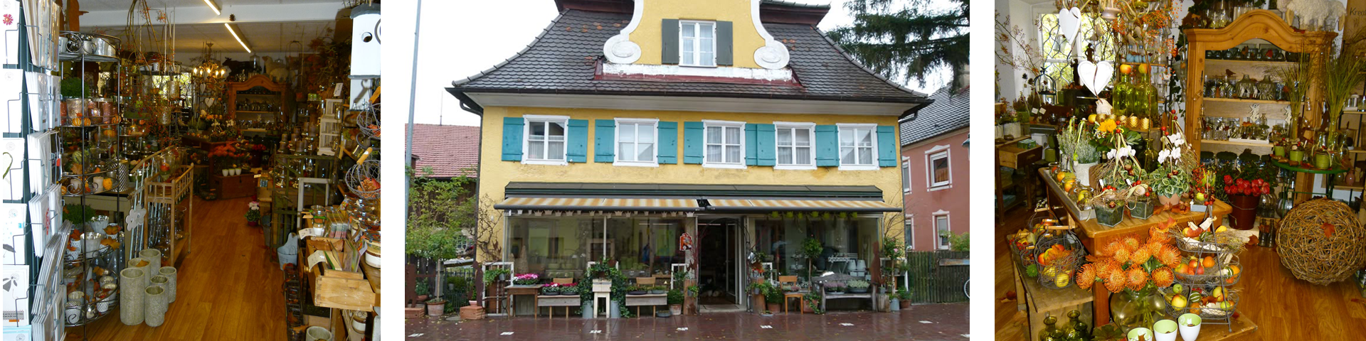Zaunkönig – Ihr Pflanzenanbieter.